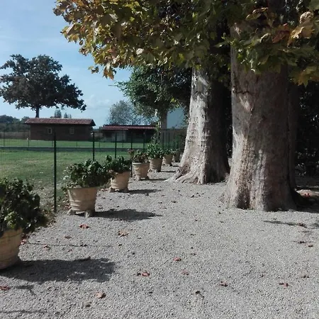 Bed & Breakfast Ca' Musiari Dimora Storica Dal 1847